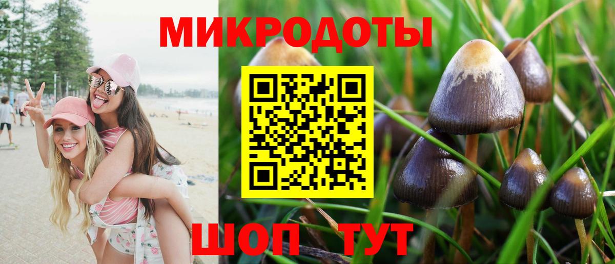 Псилоцибиновые грибы Cubensis Алушта