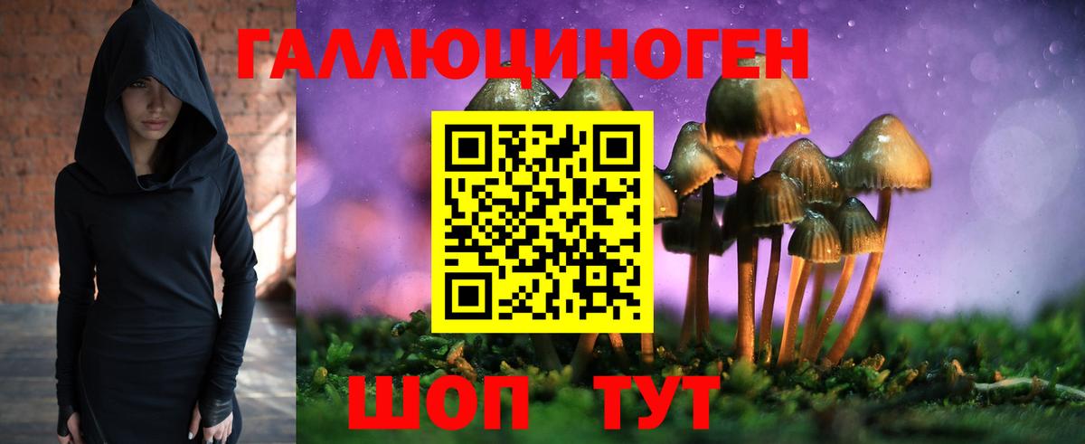 Алушта  Псилоцибиновые грибы Psilocybine cubensis  Вход с VPN 