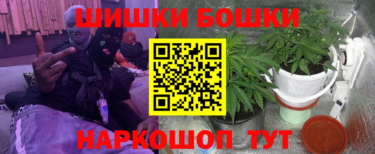 Бошки марихуана тримм  Вход с VPN  Алушта  Конопля марихуана  Бошки марихуана план 